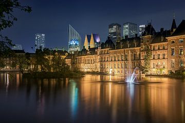 Den Haag: Hofvijver bij nacht