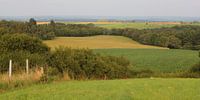 Zomers heuvellandschap