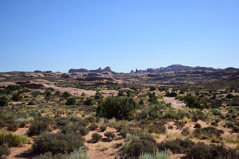 Petrified dunes by Frank's Awesome Travels