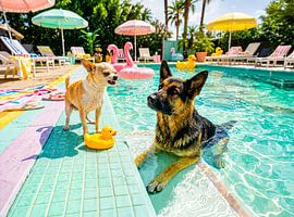 Chihuahua vs shepherd duck by ArtMomente