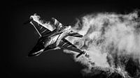 Belgian Air Force F-16 'Vador Force'