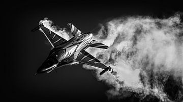 Belgische Luftwaffe F-16 'Vador Force'. von Mark de Bruin