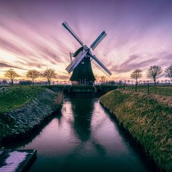 Motive von Windmühlen