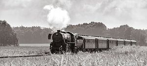 Alten Dampfzug in den Maisfeldern # 2