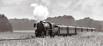 Steam train in the corn fields #2 by Sjoerd van der Wal Photography