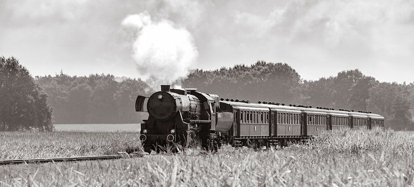 Train à vapeur dans les champs de maïs #2 par Sjoerd van der Wal Photographie