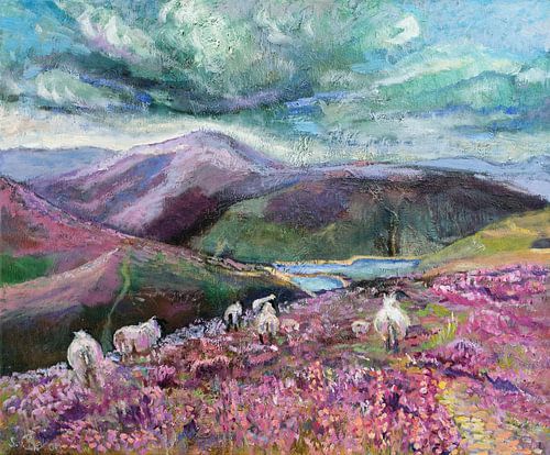 Les montagnes de la région de Wicklow