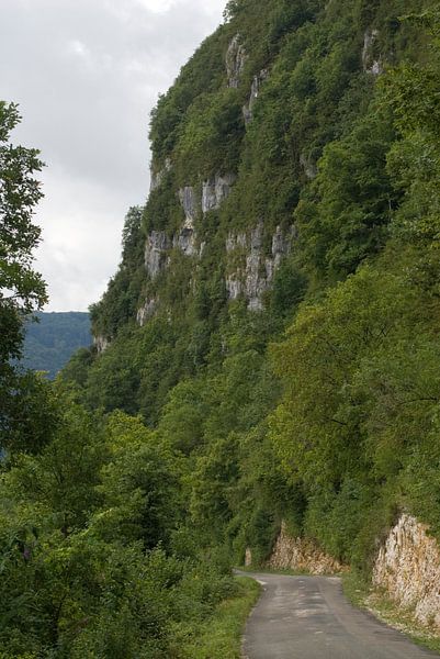 Bergweg von Bas Smit