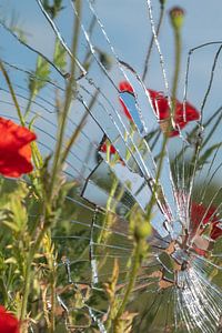 Scharfer Sommer