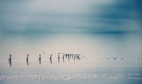 Strand van Cuxhaven aan de Duitse Noordzeekust.  Foto bij laag water met baken en golfbreker
