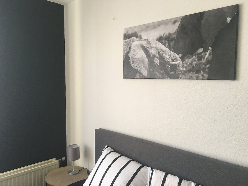 Olifanten in Addo Elephant Park  van Chris van Kan 