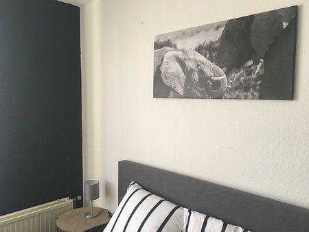 Elefanten im Addo Elefantenpark