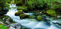 Golling aan de Salzach 3