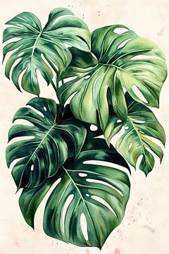 Monstera Deliciosa no.3 van Studio BB