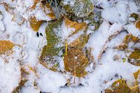 Herfst en Winter in 1