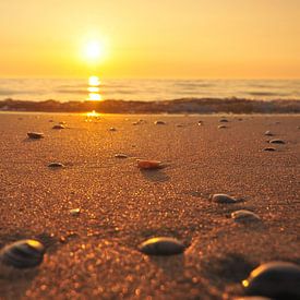 Strand bei Sonnenuntergang von Wim Beunk