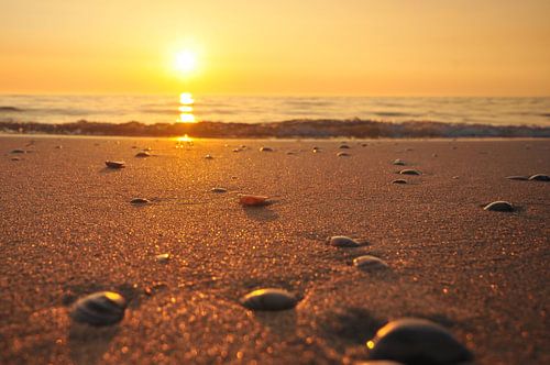 Plage au coucher du soleil