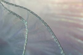 Connexion dans la lumière - Fils délicats en pastel