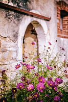 Old farmhouse facade