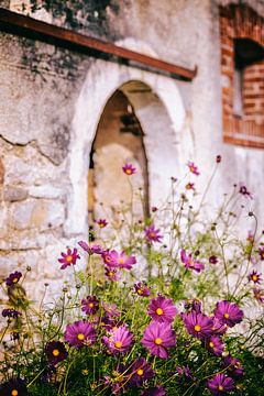 Old farmhouse facade by Angelique Niehorster