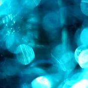 Elsbeth Verheul Profile picture