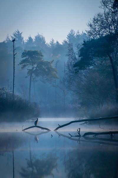 Bleu Magic - Oisterwijk Fens by Robin Gooijers | Fotografie