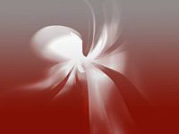 White Flower
