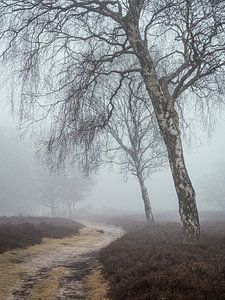 Treurpad