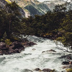 Stroomversnellingen op de Trollstigen van Pascal Deckarm