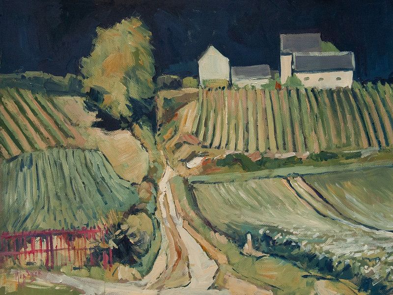 Summer light over the Apostle Farm by Nop Briex