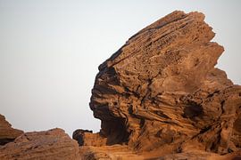 Indiaan ! von Stephan Van Reisen