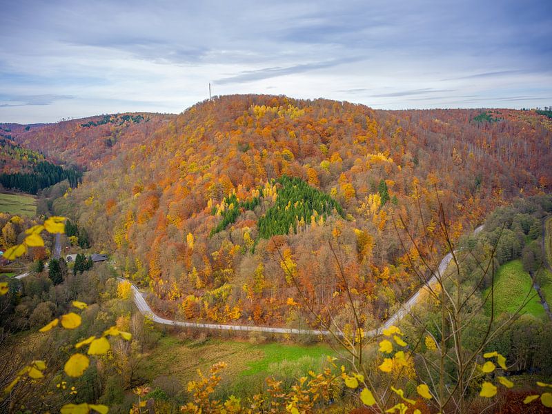 L'automne dans le sud du Harz chez Netzkater par t.ART