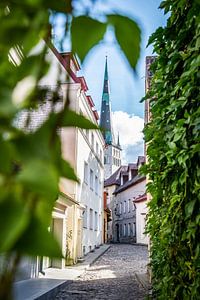 Straße in Tallinn