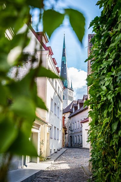 Straße in Tallinn von Ellis Peeters