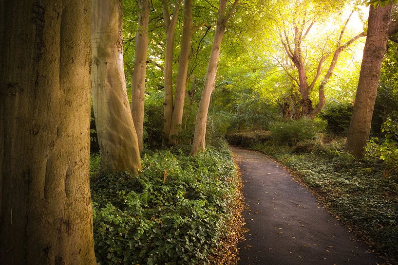 Park in Medemblik by Karel Ton
