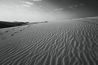 Black and white photo of the sand dunes
