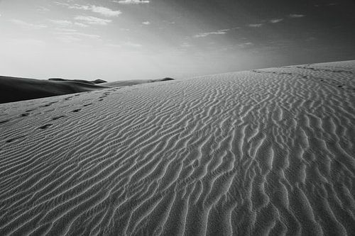 Photo en noir et blanc des dunes de sable