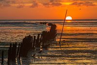 Wad Wieringen