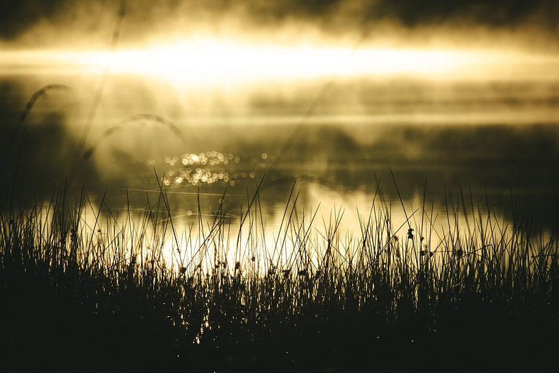 Mist over the water by Jan