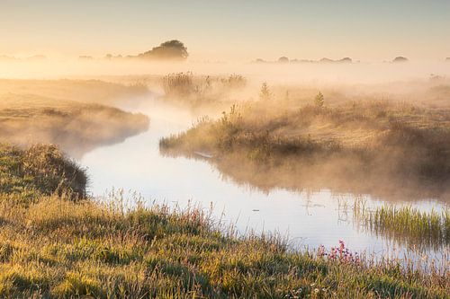 Landschap van de Hunze, een rivier in het  Hunzedal, een landschap gehuld in mist, gedurende zonsopkomst