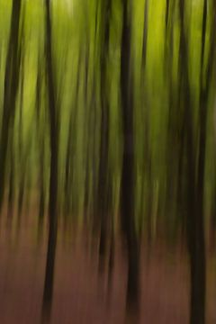 Gespenstische Wälder von Klaartje Majoor