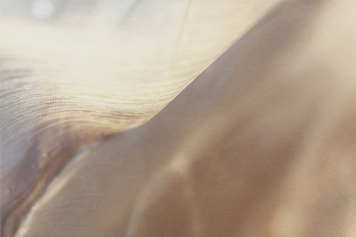 Lichte plooien - Zachte transparantie tegen het licht