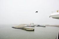Texel Zeezicht 011