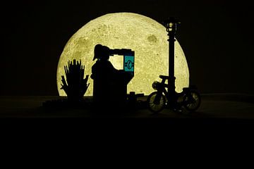 Calling in the moonlight van MK Audio Video Fotografie