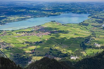 Le lac Forggensee et Neuschwanstein