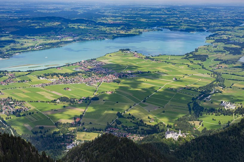 Forggensee und Neuschwanstein von Walter G. Allgöwer