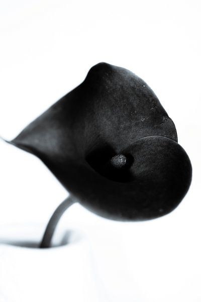 Arons chalice by Foto Studio Labie