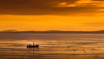 Fishing during sunset von Hamperium Photography