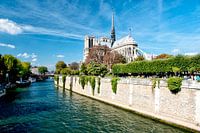 Bateaux Seine Notre-Dame