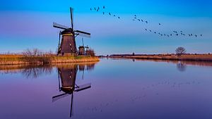 reflection Kinderdijk